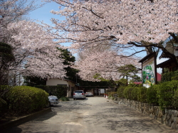 白峯寺入口から